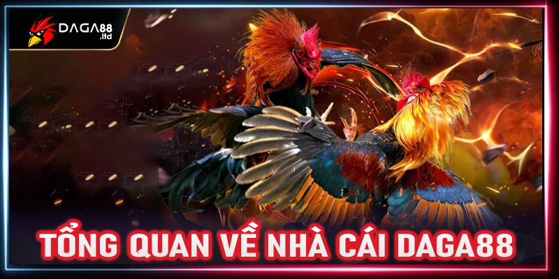 Tổng quan về nhà cái Daga88